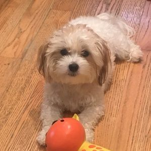 Meet your Posher, Jamie